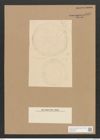 Diatomeae indet. Zeichnungen Sammlung Grunow Nr. 5062 (NHMW-BOT-W0373328)